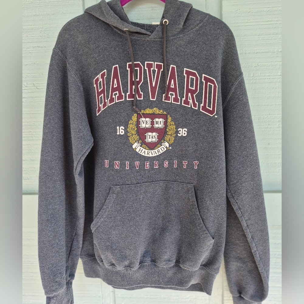 Vtg Harvard University Crest Gray & Maroon Kangaroo Pocket Hoodie Sweatshirt S - Picture 5 of 6